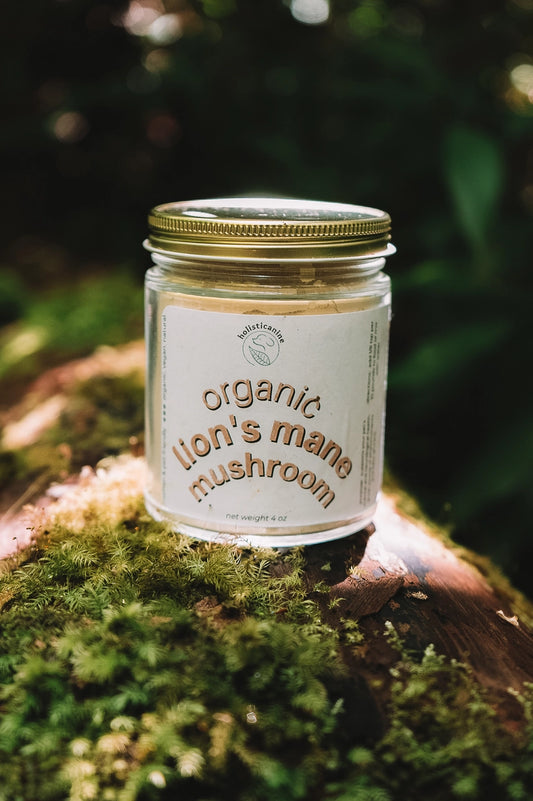 Organic Lion's Mane Mushroom Supplement