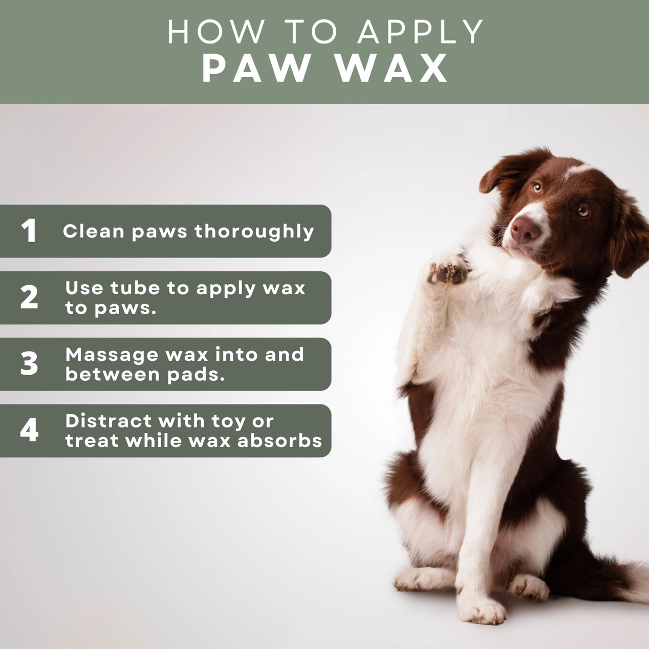 All-Terrain Paw Wax Kit - 6 Pieces